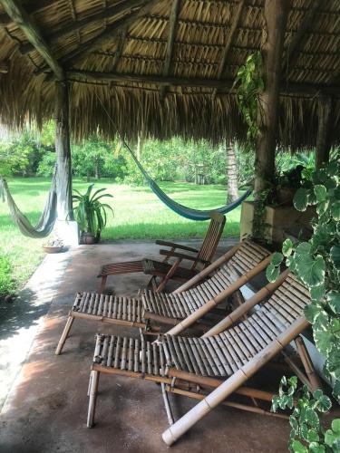 Κήπος έξω από το Chambalaka Paradise near Monterrico