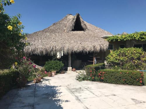 Κήπος έξω από το Chambalaka Paradise near Monterrico