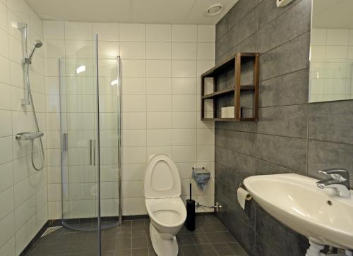 La salle de bains est pourvue de toilettes, d'un lavabo et d'une douche. dans l'établissement Spoton Hostel & Sportsbar, à Göteborg