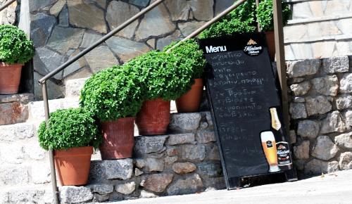 a group of potted plants on a stone wall at Pharos Rooms in Ilia