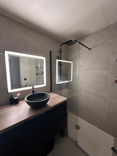 une salle de bain avec un lavabo et une douche en verre dans l'établissement Appartement Bordeaux Centre Parking, à Bordeaux