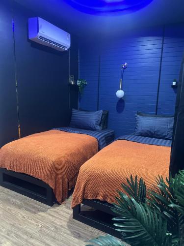 two beds in a room with a blue wall at The Hidden Gem Poshtel Koh Tao in Koh Tao