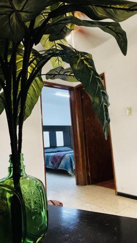 a green vase with a plant in front of a mirror at Casa Dahlia Querétaro in Querétaro
