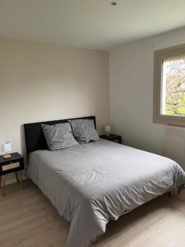 ein Schlafzimmer mit einem Bett und einem Fenster in der Unterkunft Maison avec jardin proche circuit des 24h in Moncé-en-Belin