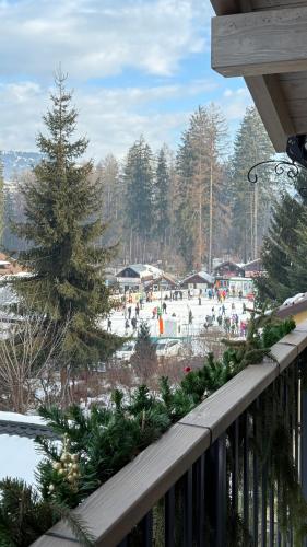 a view from a balcony of a skating rink at REY Chalet in Vatra Dornei