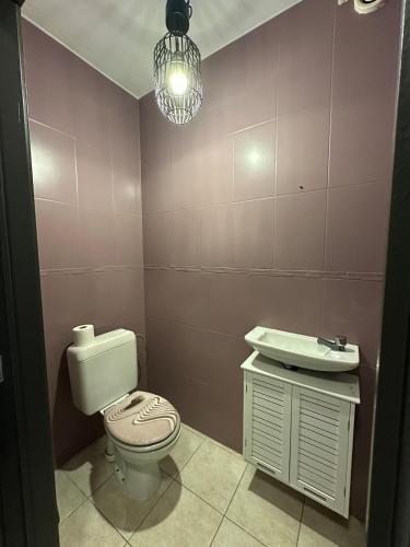 a bathroom with a toilet and a sink and a light at The175 work or holiday home in Comines