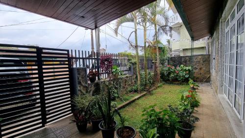 an outdoor garden with plants and an umbrella at Tailors Cottage in Hatton