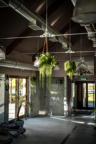 a room with potted plants hanging from the ceiling at Hercegasszony Birtok in Mezőtúr