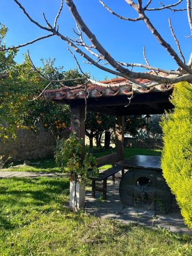 a picnic shelter in a park with a bench at As Tres Irmas in Candeleda