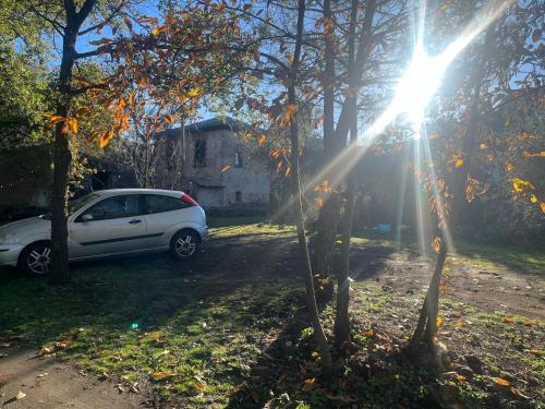 a car parked in a yard with the sun shining through trees at POGGIO ROSETO in Randazzo