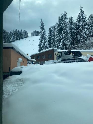 Το Hotel Forest Star on the Ski Slope τον χειμώνα