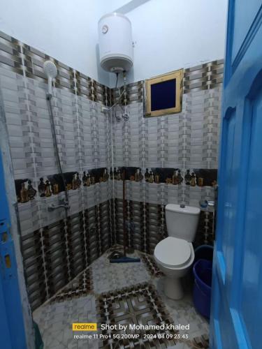 a bathroom with a shower with a toilet in it at Amoun أمون in Siwa