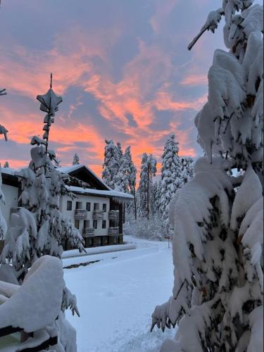 Silent retreat at Euphoria Club and SPA Borovets trong mùa đông
