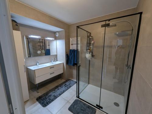 une salle de bain avec douche et lavabo dans l'établissement Appartement Brignoles en secteur calme, à Brignoles