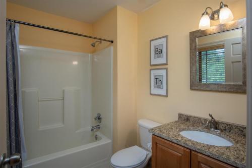 a bathroom with a toilet and a sink and a shower at Brevard Basecamp in Brevard