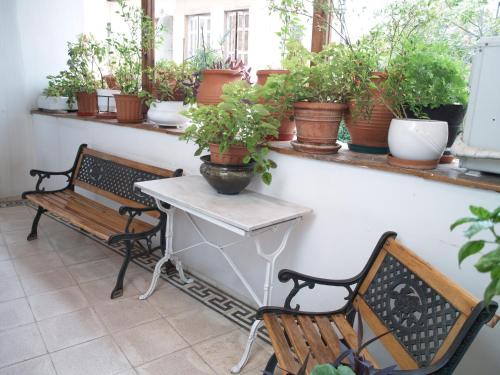 two benches and a table with potted plants on a wall at Acropolis House in Athens