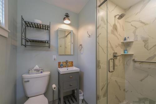 a bathroom with a shower and a toilet and a sink at JB`s Place in Brevard
