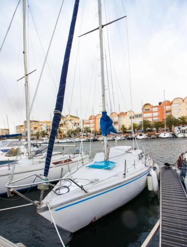 un voilier amarré dans un port de plaisance avec d'autres bateaux dans l'établissement Voile d'Écume - Douce Nuit sur l'Eau, à Gruissan