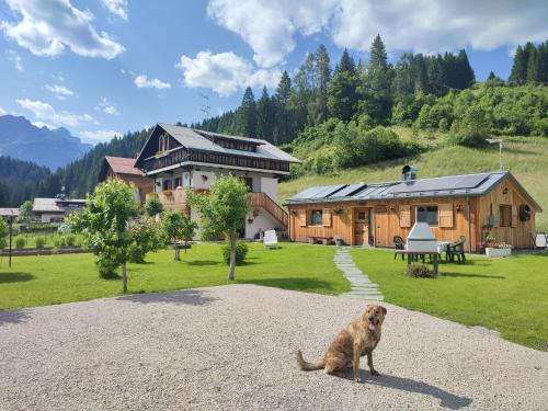 a dog sitting on the ground in front of a house at Chalet Almost Heaven in San Nicolò di Comelico
