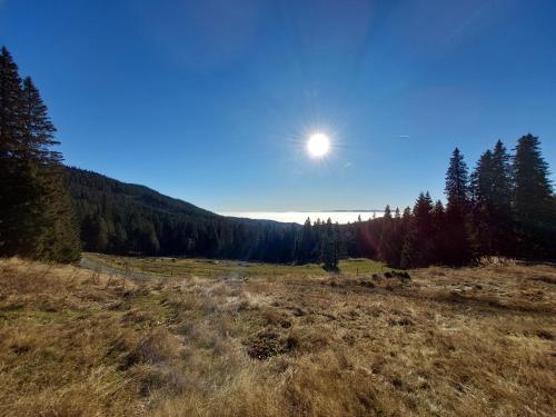 an open field with the sun in the sky at Ochsenwaldhütte in Teschrepl