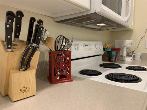 a kitchen counter with a white stove top oven at White Squirrel`s Nest in Rosman