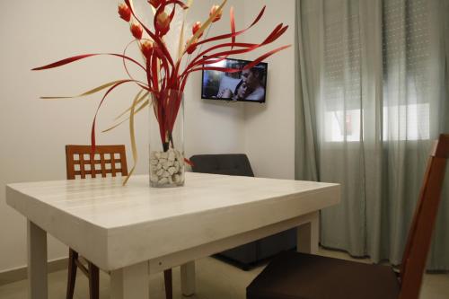 TV/trung tâm giải trí tại CALALUNA COUNTRY HOUSE - PUNTA PROSCIUTTO