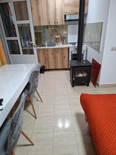 Kuchyň nebo kuchyňský kout v ubytování Apartament Rinia in Pogradec