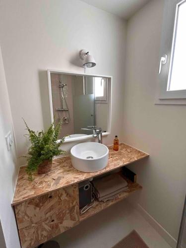 une salle de bain avec un lavabo et un miroir dans l'établissement Maison Ginette - Piscine chauffée, 8 pers, proche de la mer, à Saint-Georges-dʼOléron