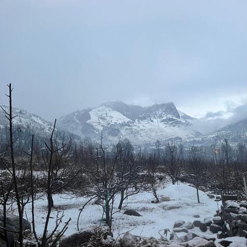 a snowy field with trees and mountains in the background at Ekaant Stays - Manali in Manāli