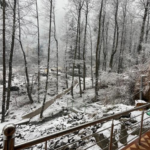 a snow covered forest with trees and a fence at Ekaant Stays - Manali in Manāli
