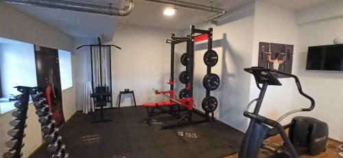 a gym with cardio equipment in a room at RITTERTAL Altmünster Traunsee Apartment in Altmünster