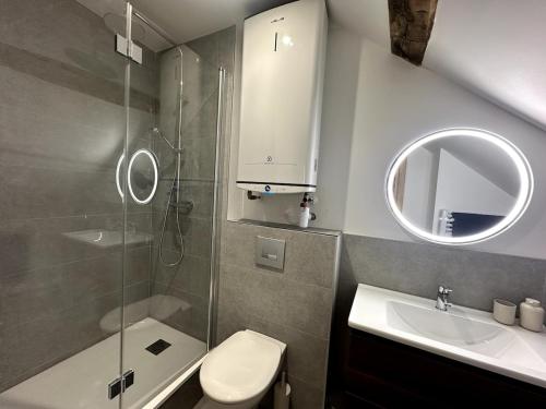une salle de bain avec une douche, des toilettes et un lavabo dans l'établissement Bali à Charleville-Mézières - Hypercentre à quelques pas de la Place Ducale - 4 personnes, à Charleville-Mézières