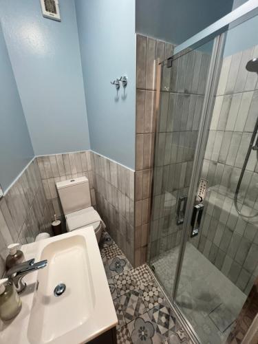 une salle de bain avec une douche, un lavabo et des toilettes dans l'établissement Room Verona Ai Duchi, à Vérone