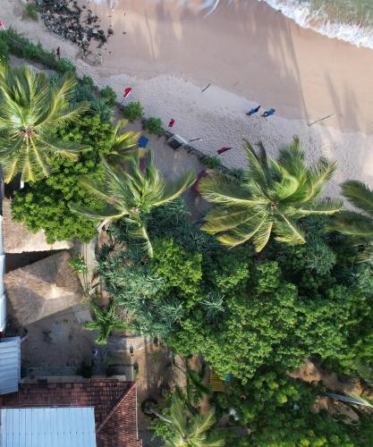 an overhead view of palm trees and a beach at Tomorrowland Beach Villas in Tangalle