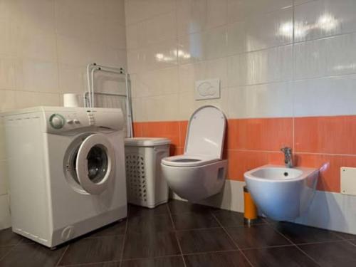 a bathroom with a washing machine and a sink at Apartma Lidija in Cerkno