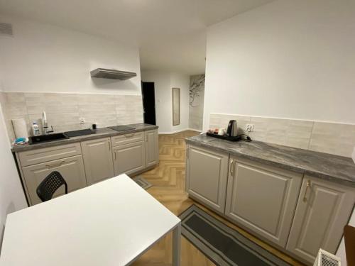 Kuchyň nebo kuchyňský kout v ubytování Villa Grudziądz