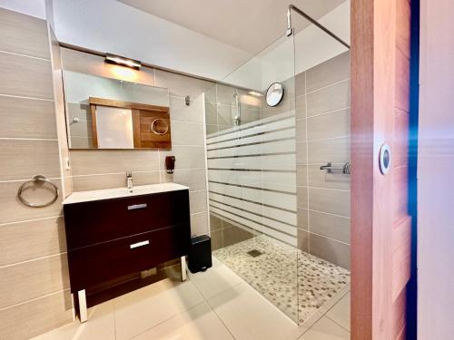 a bathroom with a sink and a shower at STUDIO DU MUSEE in Saint-François