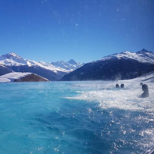 a group of polar bears swimming in a body of water at Thyon 4pièces, magnifique vue in Hérémence