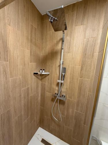 un bagno con doccia e WC di PanOrama Luxury Apartments a Panagyurishte