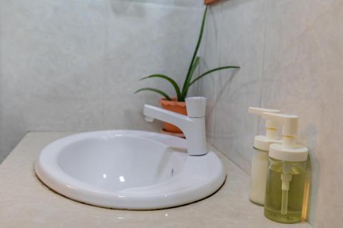 a bathroom sink with two bottles of soap and a plant at Nemo Inn in Omadhoo