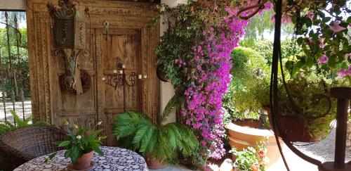 a bunch of pink flowers hanging from a wall at Villa Naranjo Costa Blanca in L’Alfàs del Pi