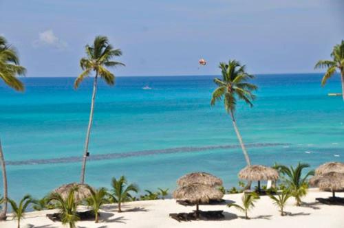 a view of the beach with palm trees and the ocean at 2BR Beachfront Unit w View - 62 in Bayahibe