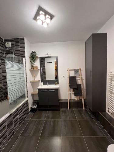 une salle de bain avec un lavabo et un miroir dans l'établissement Appartement moderne et lumineux, à Strasbourg