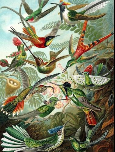 New cozy Villa near the sea!