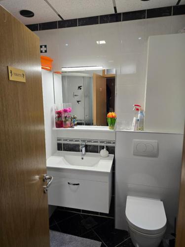 APARTMAN LAVANDA ZAGREB 57 Square Meters 2 Bedrooms Free Parking Self Check-in