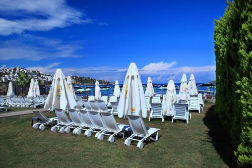 a group of lawn chairs and umbrellas at Cactus Fleur Beach in Yalıkavak