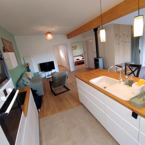 a kitchen and living room with a sink and a couch at Charmant Cottage in Châtenois
