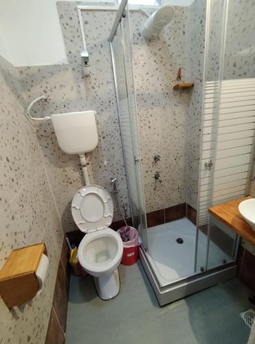 a bathroom with a toilet and a shower at Departamento 3 - 1er piso Centro Pileta in Formosa
