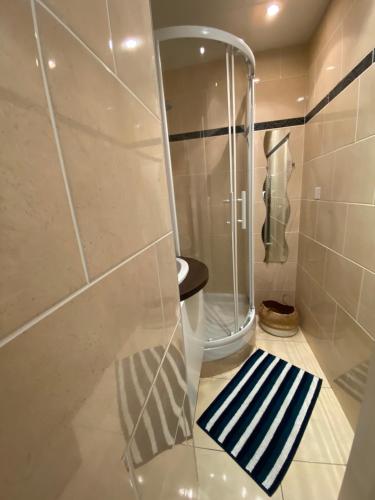a shower with a blue and white striped rug in a bathroom at Rance solidor ter in Saint Malo