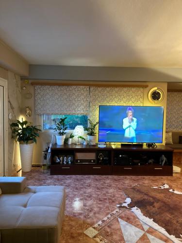Televisyen dan/atau pusat hiburan di luxury house airport
